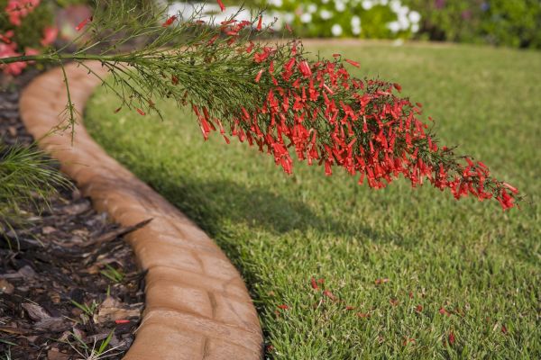 Brick Edging in Kent